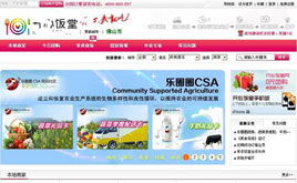 整站源码与源码库 宁波网页设计的利器